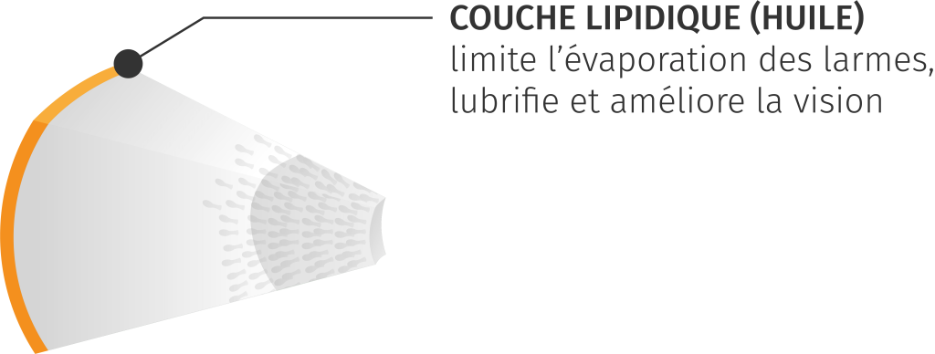 Couche concernée par le diagnostic de la sécheresse oculaire