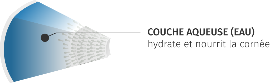 Couche concernée par le diagnostic de la sécheresse oculaire