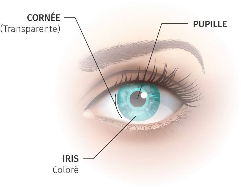 Les Larmes - Diagnostiquez Et Traitez Votre Sécheresse Oculaire